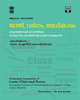 jāthi, vargam, adhikāram: oru thanchāvur grāmathile sāmūhikakramathinte mārunna māthṛkakal